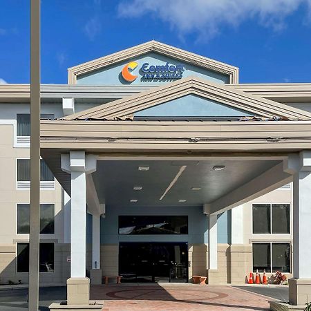 Comfort Inn & Suites Sarasota I75 The Meadows Exterior foto
